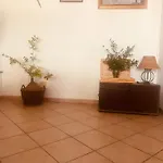 Séjour à la ferme La Concia Giuncarico