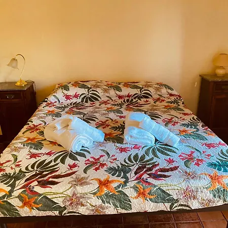 La Concia Giuncarico