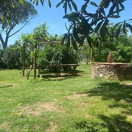 La Concia Giuncarico