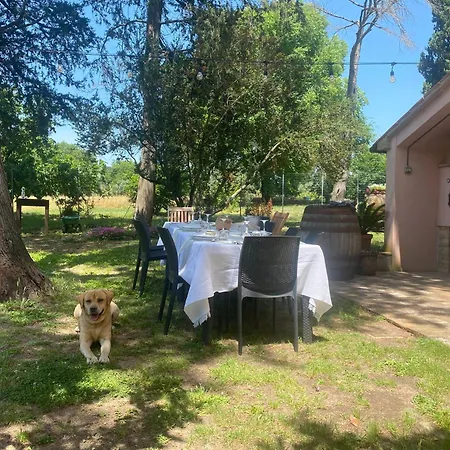 La Concia