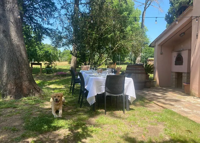 La Concia